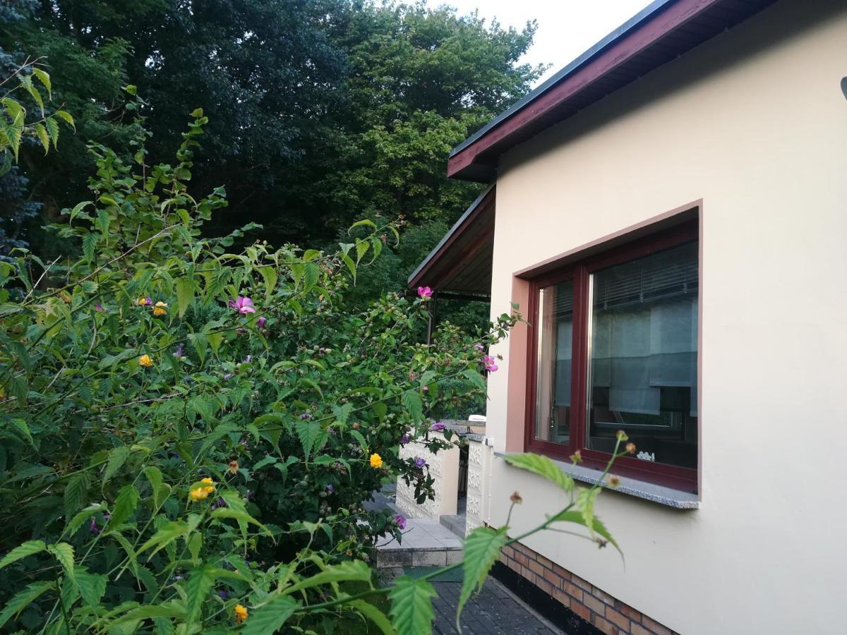 Ferienhaus Am Wald Loissin Luaran gambar