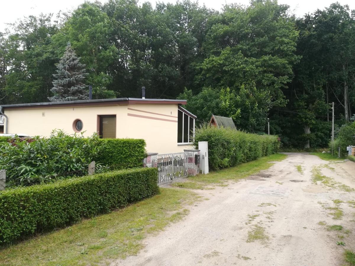 Ferienhaus Am Wald Loissin Luaran gambar